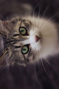 Серёжа Егоров