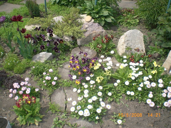 Людмила Лллл