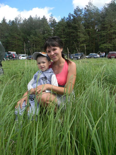 Ильсеярка *