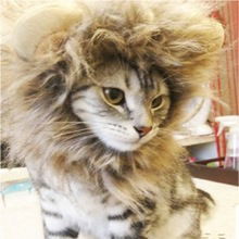 Лёва Пушистик