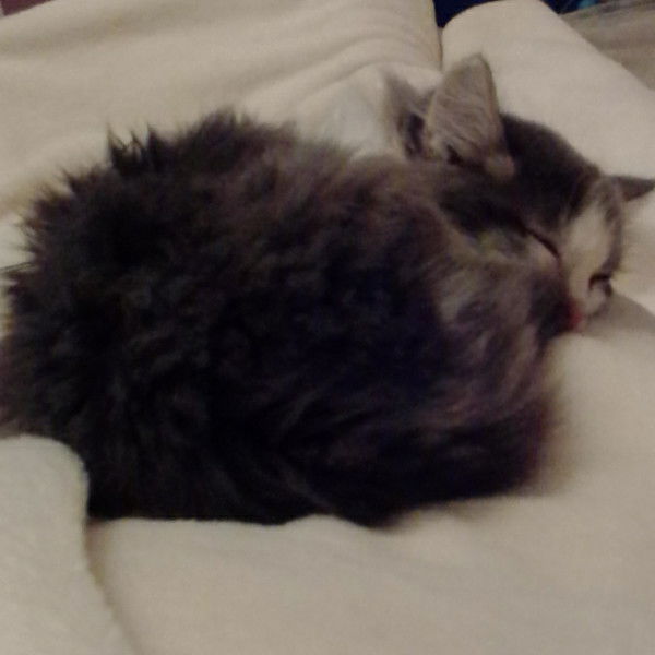 Аня Ставицкая