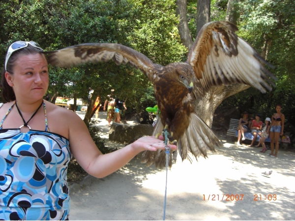 Марина Кокорева