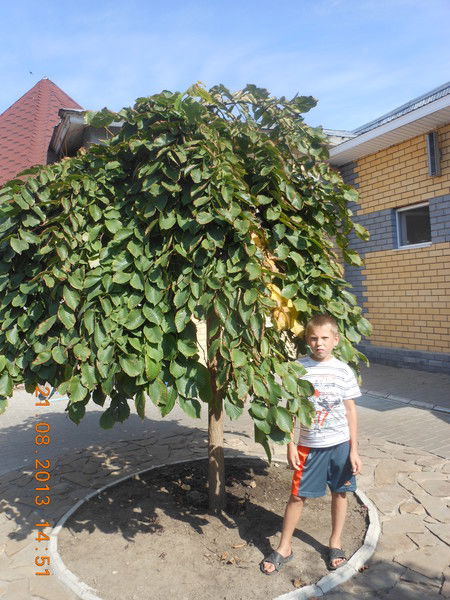 Ярослав Рукавишников