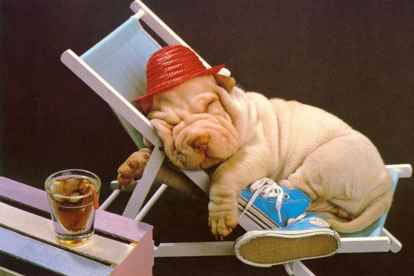 Ксения Герасимова