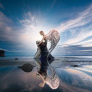 Ангел Света