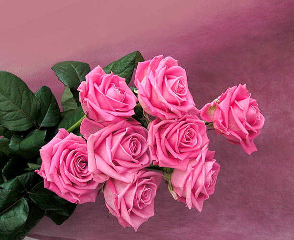 Валентина Гаврилина