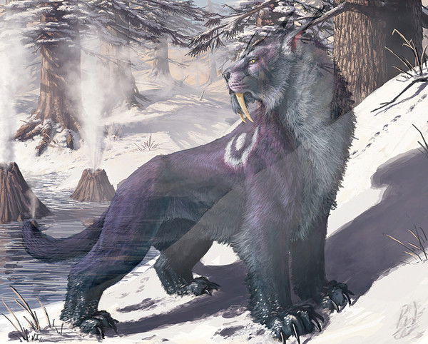 Илья Как-То