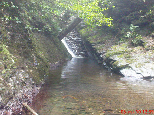 Алексей Хамов