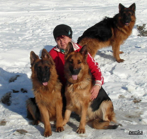 Инна Штефан