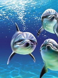 Людмила Пикалова