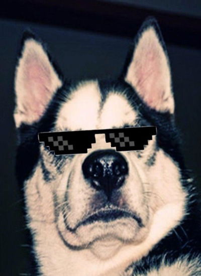 Вячеслав Ефименко