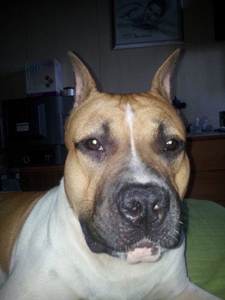 Светлана Воробъева