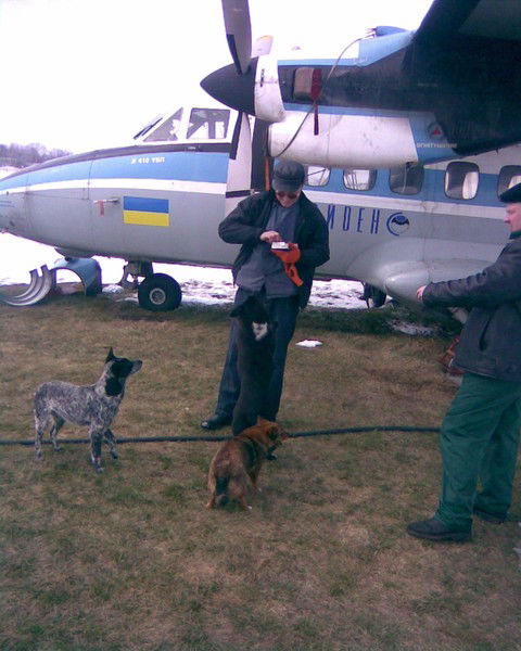 Владимир Голубев