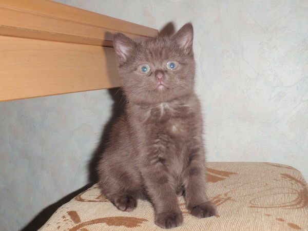 Любовь Смолянина