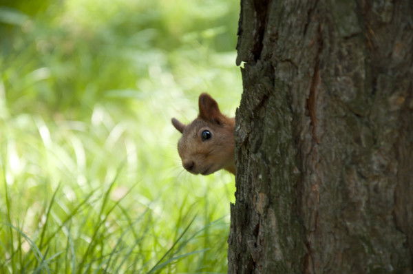 Татьяна Лето
