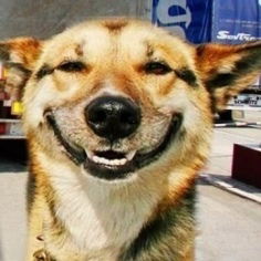 Сергей Сухно