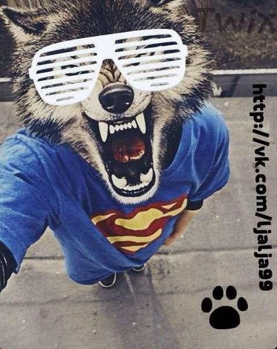 Дмитрий Бабанин