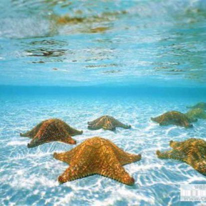 Уля Артюхова