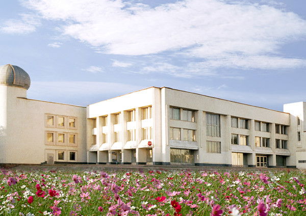 Орготдел Дтдим