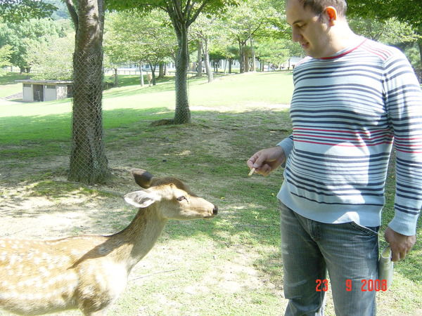 Зафар Раджабов