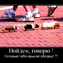 Abylaykhan Krasavchik