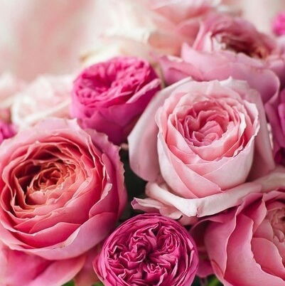 Евгения *******