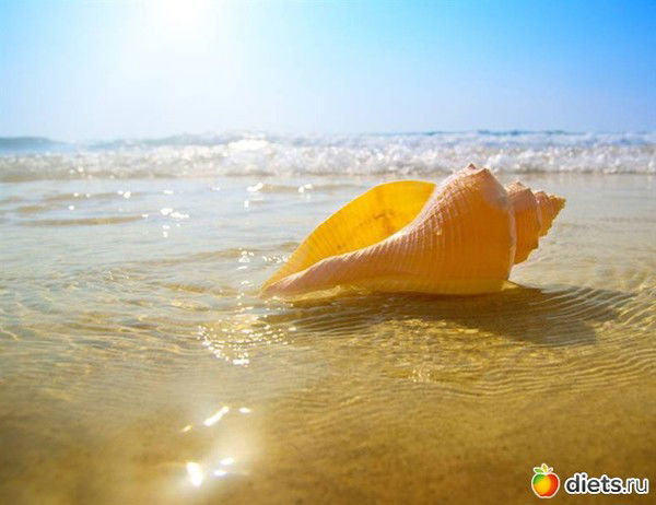 Эльвина Каймакова