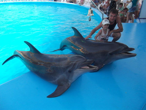 Данила Шульц