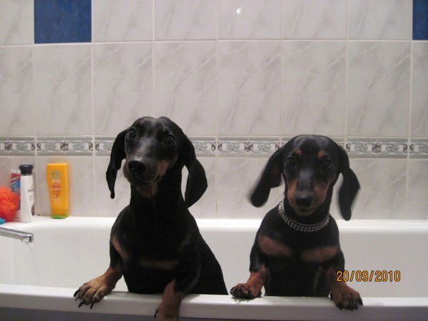 Инна Максимова