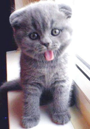 Лидия Ильина