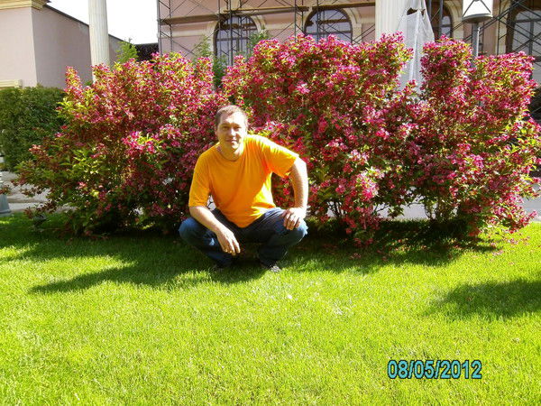 Андрей Богомолов