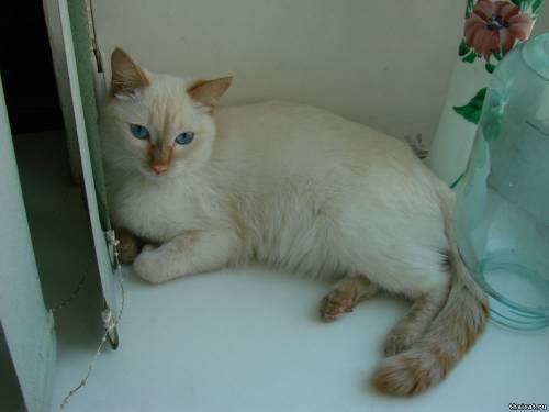 Валерий Чудин