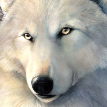 Евгений Темников