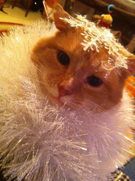 Левченко Людмила