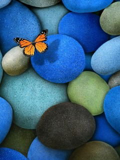 Екатерина Глушкова