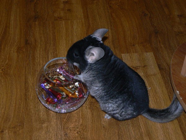 Даня Кутергин