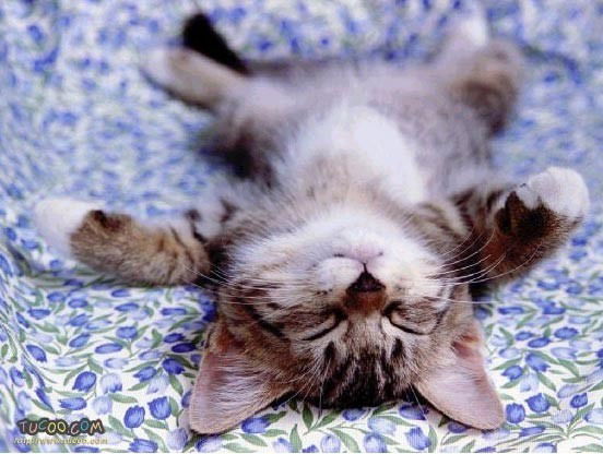 Юлия Чистякова