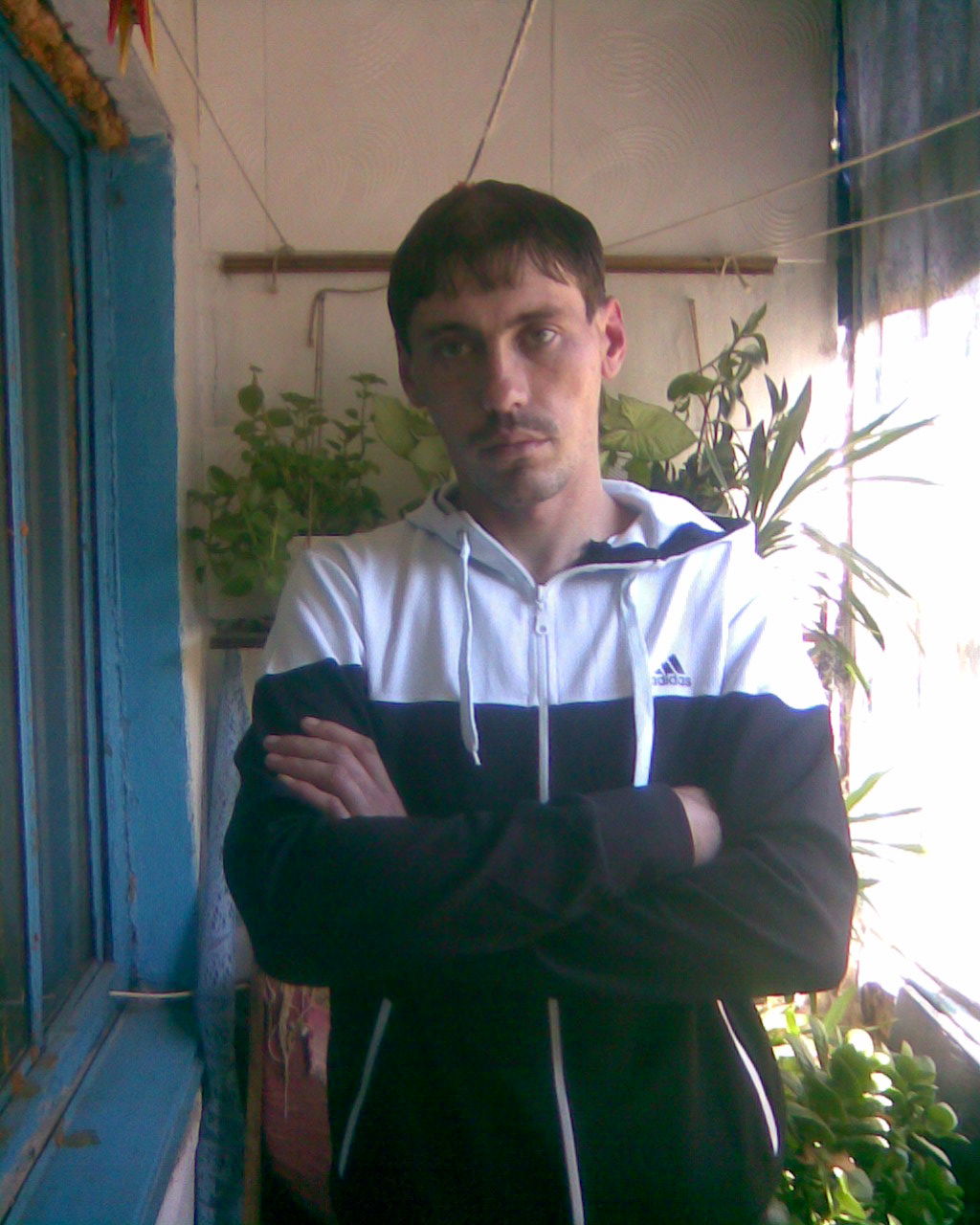 Станислав Пронжило