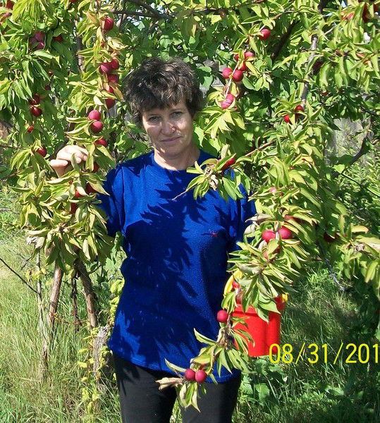 Надежда Карабаева (Шевченко)