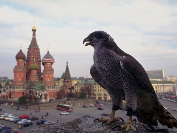 Павел Маринин