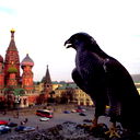 Павел Маринин