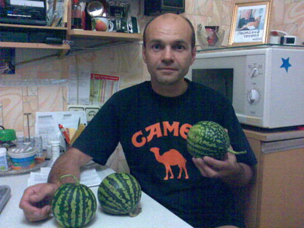 Сергей Киселев