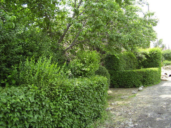 Икрам-Хожа Абдурахманов