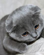 Стася Зырянова