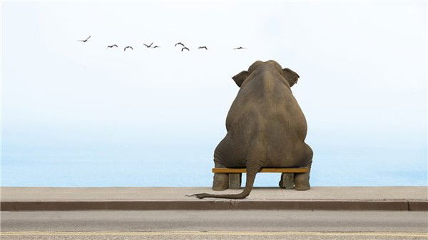 Юрий Соколов