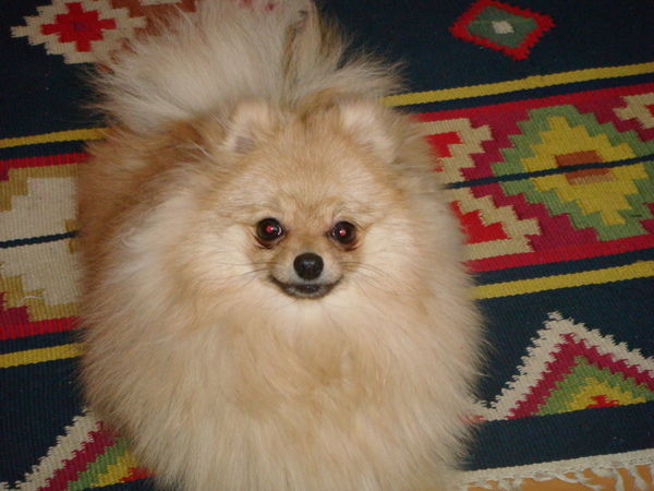 Игорь Барсуков