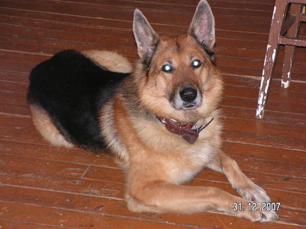 Аня Кузнецова