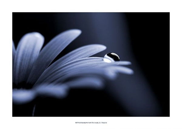 Айнура Исмаилова