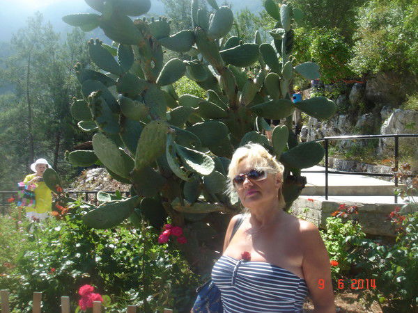 Наталья Зах.