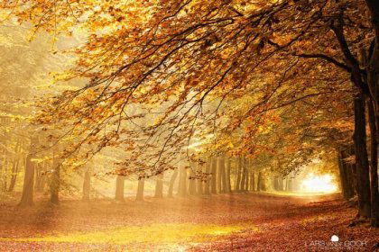 Мария Бурлуцкая